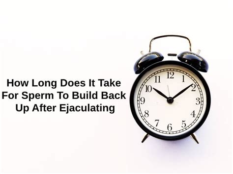How long does it take for sperm to build back up after ejaculating?