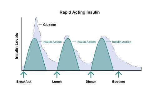 How long does it take for sugar to get back to normal?