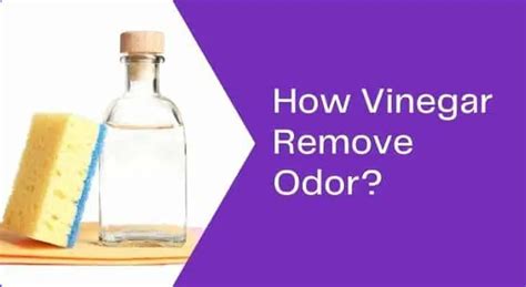 How long does it take for vinegar to remove odors?