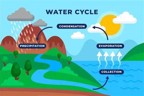 How long does it take for water to evaporate from a phone?