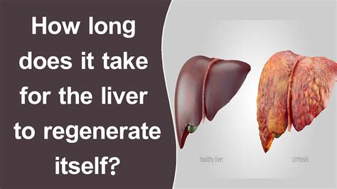 How long does it take for your liver to heal itself?