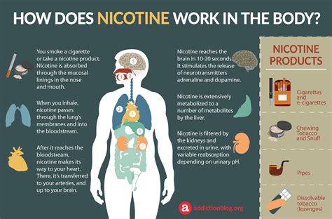 How long does it take nicotine to leave your brain?