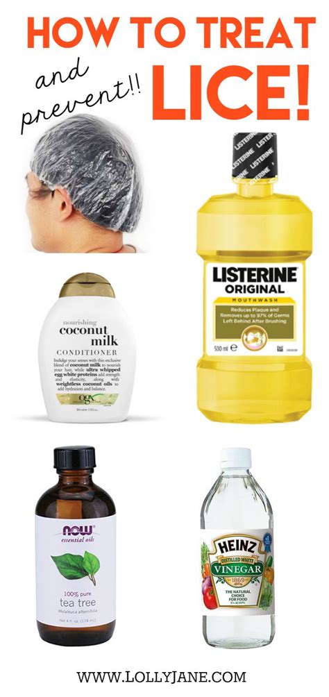 How long does it take oil to kill lice?