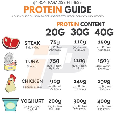 How long does it take to absorb 20g of protein?