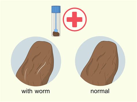 How long does it take to deworm a person?