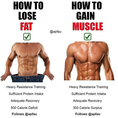How long does it take to flex muscle?