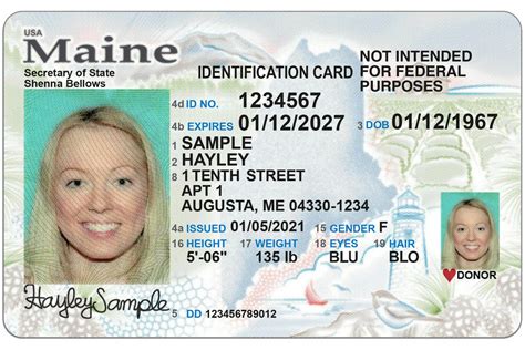 How long does it take to get a Maine state ID?