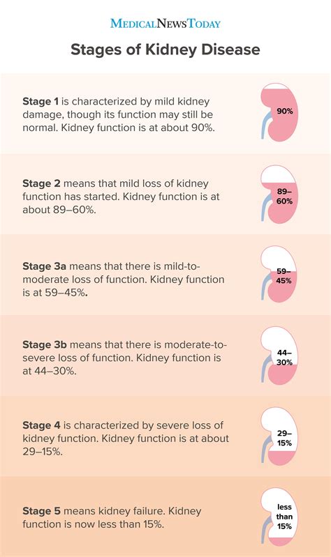 How long does it take to go from stage 1 to stage 2 kidney disease?