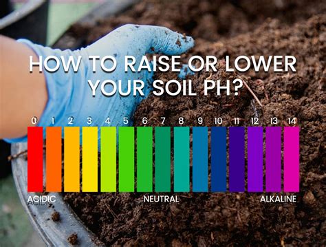 How long does it take to raise pH in soil?