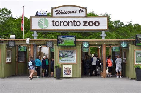 How long does it take to walk the Toronto Zoo?