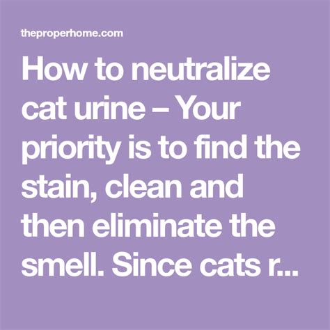 How long does it take vinegar to neutralize cat urine?