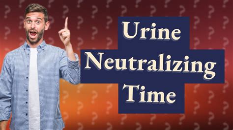 How long does it take vinegar to neutralize dog urine?