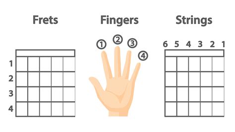 How long does it take your fingers to get used to guitar?