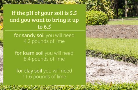 How long does lime take to change soil pH?