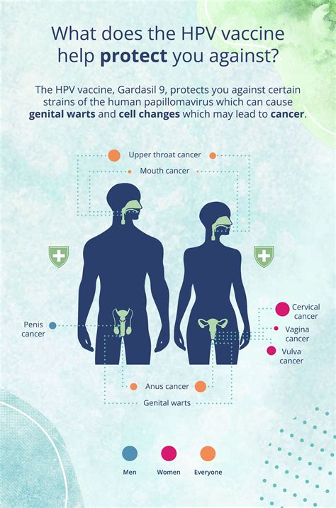 How long does male HPV last?