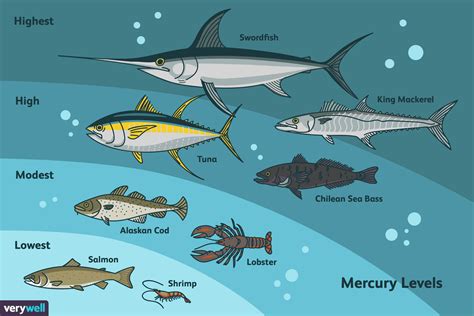 How long does mercury stay in the body from fish?