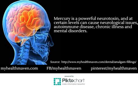 How long does mercury stay in the brain?