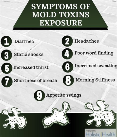 How long does mold toxicity last?