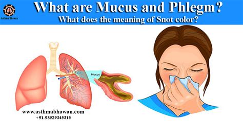How long does mucus cough last?