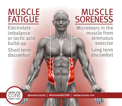 How long does muscle fatigue last?