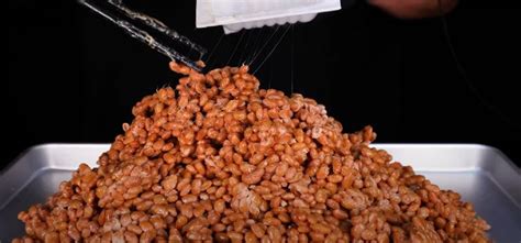 How long does natto last in the freezer?