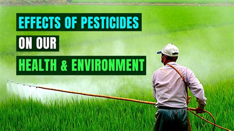 How long does pesticide residue last?