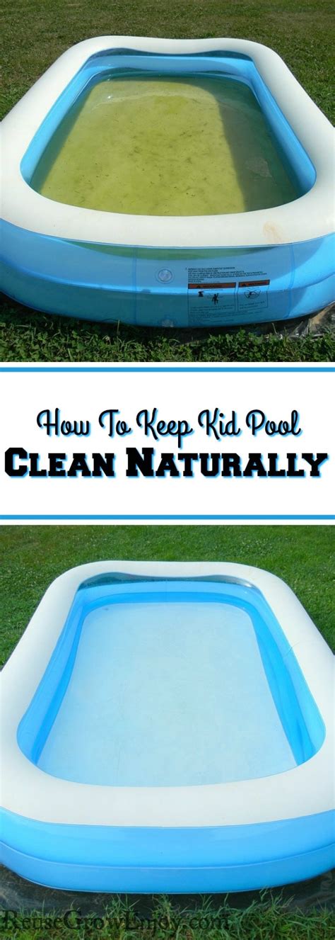 How long does pool water stay clean?