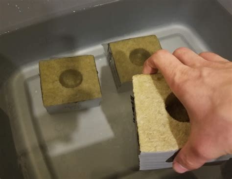 How long does rockwool need to soak?