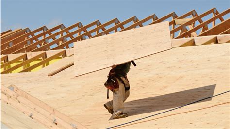 How long does roof plywood last?