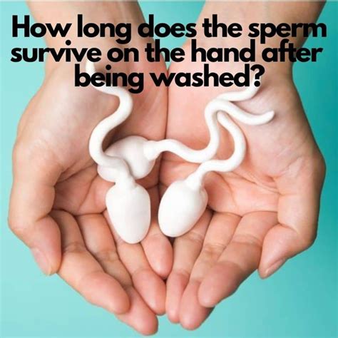 How long does sperm live on hands after washed?