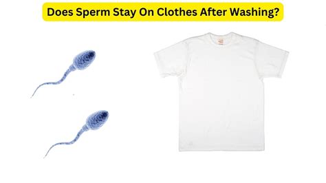 How long does sperm smell last on clothes?