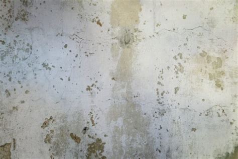 How long does stain last on concrete?