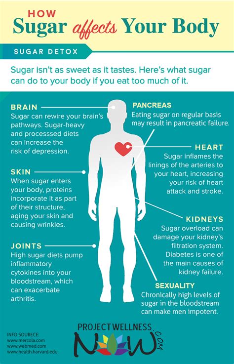 How long does sugar stay in body?