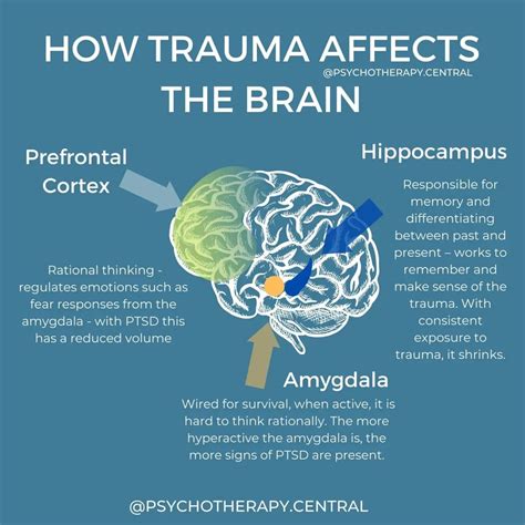 How long does trauma stay in the brain?