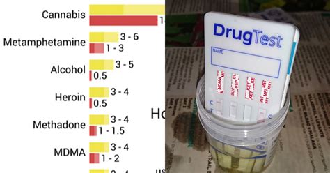 How long does urine last for a drug test?