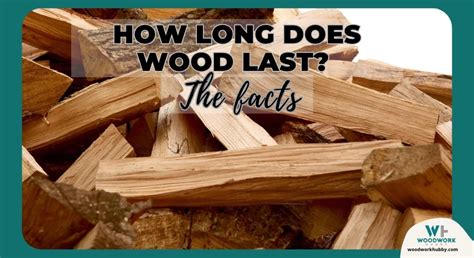 How long does wood last in ground?