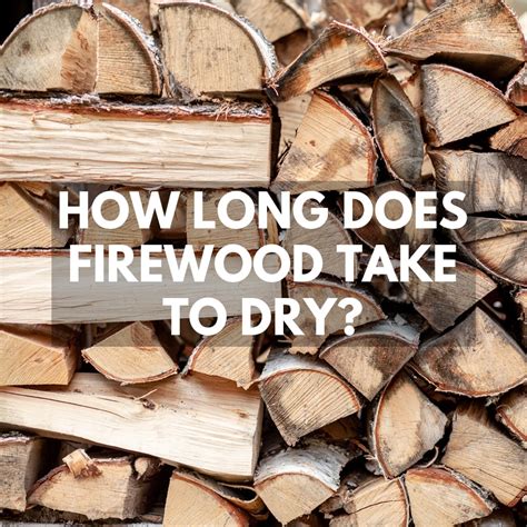 How long does wood take to dry?
