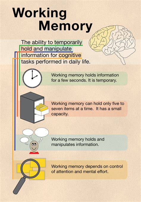 How long does working memory last?