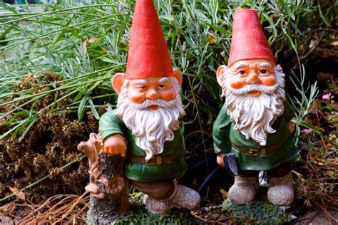 How long have gnomes been popular?