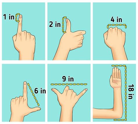 How long is 1 inch in finger?