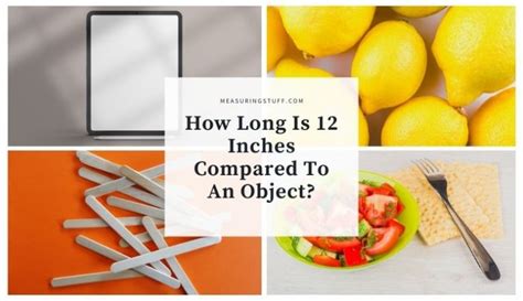 How long is 12 inches compared to an object?