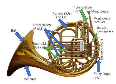How long is a French horn in F?