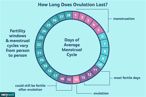 How long is a girl's first period last?