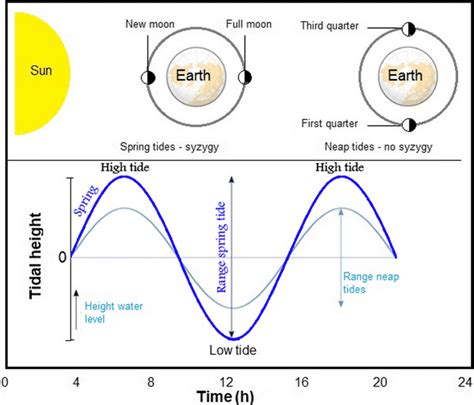 How long is a tidal range?