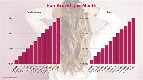 How long is hair in 7 months?