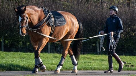 How long is horse training?