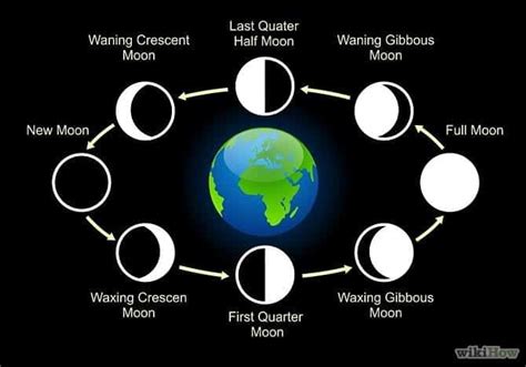 How long is it between new moons?