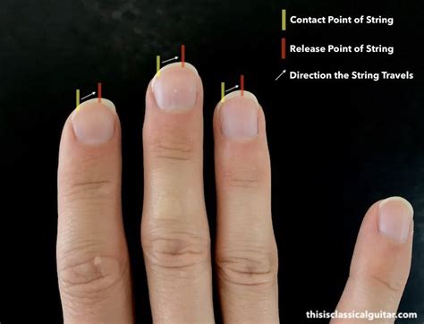 How long is too long for guitar nails?