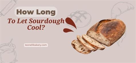 How long should I let sourdough cool?