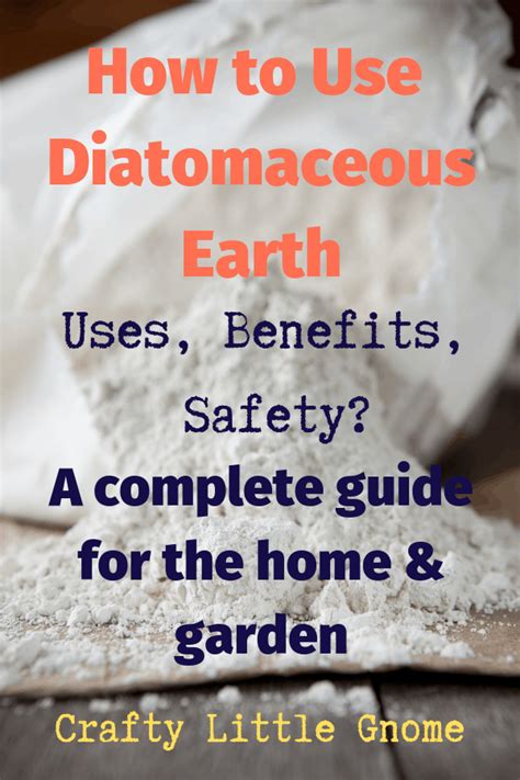 How long should diatomaceous earth sit before vacuuming?